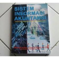 Sistem Informasi Akuntansi struktur pengendalian resiko pengembangan